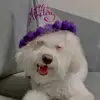Silvia.Baca - @silvia.baca - TikTok