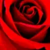 Sylvia Baca - @user3661193981469 - TikTok