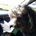 Sylvia Baird - @sylvia.baird2 - Instagram