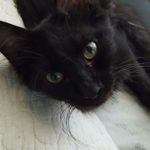Sylvia Baird - @sylviasusanbaird - Instagram