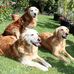 Sylvia Baird - Facebook