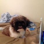 sylviapersaudbaird@yahoo.com - @sylviapersaudbaird - Instagram