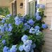 Sylvia Ballard - Facebook