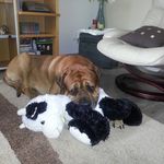 Sylvia Barker - @brummie01 - Instagram