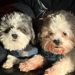 Sylvia Barker - @barker3728 - Instagram