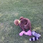 Sylvia Barraza - @sylvia.barraza.9047 - Instagram