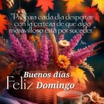 Sylvia Barraza R - @sylviabarrazar - Instagram
