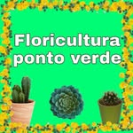 Silvia barros - @floricultura_ponto_verde - Instagram