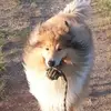 Silvia Bartel - @silvia.bartel8 - TikTok