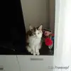 Sylvia Bartel - @sylvia.bartel - TikTok