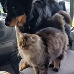 Sylvia Bartels - @sylvia.bartels.90 - Instagram
