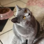 Sylvia Bartels - @sylvia.bartels.52 - Instagram