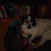 Sylvia Bauer - Facebook