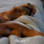 Sylvia Bauer - @wanapenda - Instagram