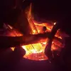 Sylvia Bauer - @sylvia.bauer31 - TikTok