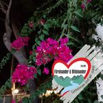 Sylvia Bauer - @sylviabauer73 - Instagram