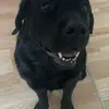 sylviabauernbeck4 - @sylviabauernbeck4 - TikTok