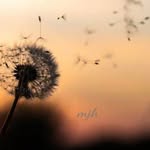 Sylvia Berg - @s.berg2701 - Instagram