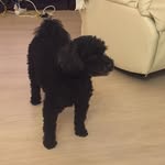 Sylvia Berg - @sylvia.berg.52 - Instagram