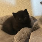 Sylvia Berg - @charlie552441 - Instagram