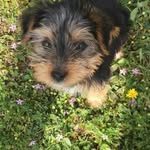 Sylvia Berg Dussel - @bergdussel - Instagram