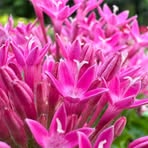 Sylvia Blume - Facebook