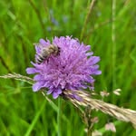 Sylvia's Blumenladen - @sylviasblumenladen2.0 - Instagram