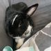 Sylvia Bode - Facebook
