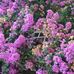 Sylvia Bode - Facebook