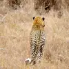 bradleysylvia - @bradleysylvia - TikTok