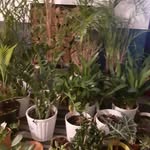 Sylvia Bradley - @sylvia.bradley.96742 - Instagram