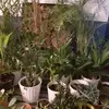 sylviabradley261 - @sylviabradley261 - TikTok
