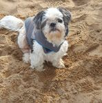 Sylvia Bradshaw - Facebook