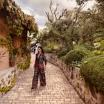 Sylvia Bravo - @sylviabravo - Instagram