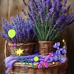 Sylvie Brunson - Facebook