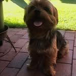 Sylvia  🍀 - @sylvia__buddy - Instagram