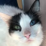 Sylvia Budd - Facebook