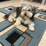 Sylvia Bush - @sylvia.bush61 - Instagram