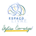 Espaço Livre Com Sylvia Camargo - Facebook