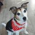 Sylvia Cameron - Facebook