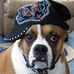 Sylvia Cameron - Facebook