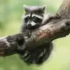 Sylvia Cannon - @sylvia.cannon7 - TikTok