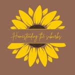 Sylvia Carr - @homesteading_the_suburbs24 - Instagram