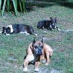 Sylvia Jeanne Carroll - @sylvia.j.carroll.3 - Instagram