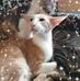 Silvia Casper - Facebook