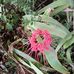 Sylvia Cathey - Facebook