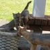 Sylvia Cavanaugh - Facebook