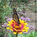 Sylvia Cavanaugh - Facebook