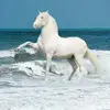 Silvia Celedon - @user244116261 - TikTok