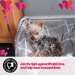 Sylvia Chambers - @sylviachambers985 - Instagram
